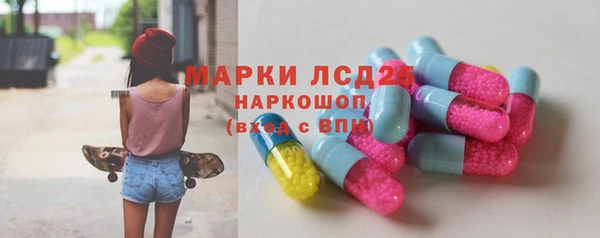 PSILOCYBIN Новодвинск