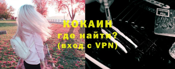 PSILOCYBIN Новодвинск