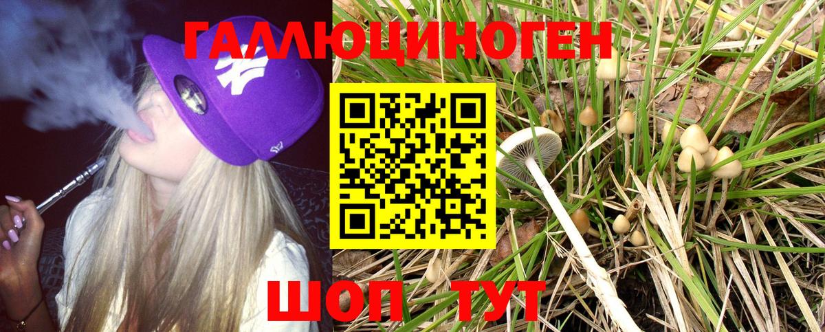 Псилоцибиновые грибы GOLDEN TEACHER Партизанск