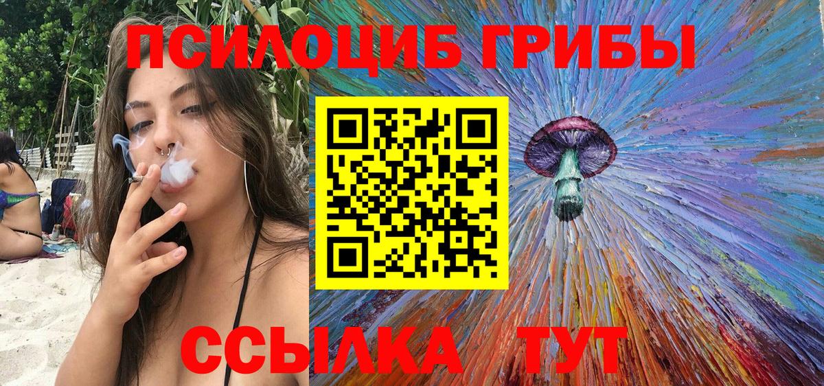 Партизанск  Псилоцибиновые грибы мухоморы  Вход с VPN 